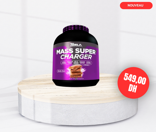 Tesla Mass Super Charger 2.27KG